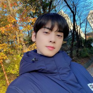 Who is Cha Eun Woo dating? Who is Cha Eun Woo's girlfriend? 1