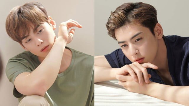 Cha Eun Woo 4 Look Alike Celebrities - LOVEKPOP95